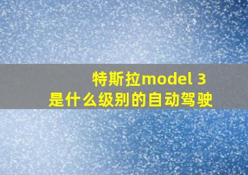 特斯拉model 3是什么级别的自动驾驶